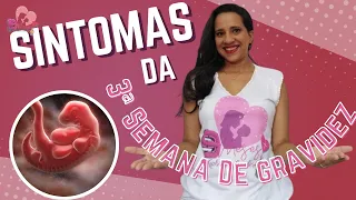 3ª Semana de Gestação | Sintomas da mamãe, seu corpo, tamanho do bebê