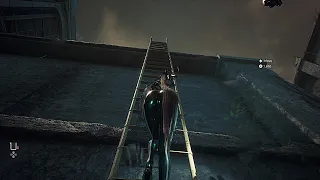 Climbing Ladders In This Game Is Super Fun!!