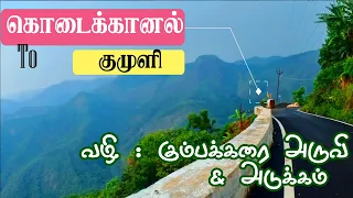 Kodaikanal to Kumuli Via Adukkam and Kumbakkarai falls // Short and Scenic Route
