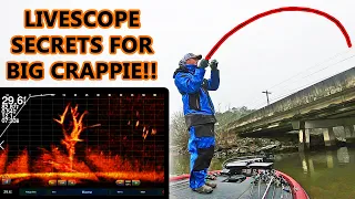 Crappie Fishing SERCRETS! Tips for Jigging with GARMIN LIVESCOPE! (BIG CRAPPIE)