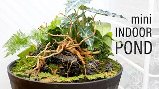 INCREDIBLE Mini Indoor DIY Pond (Patio Pond)