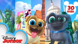 Bingo and Rolly Travel Across America 🌎 | 30 Minute Compilation | Puppy Dog Pals | Disney Junior