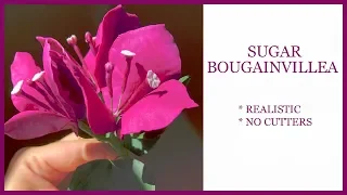 Sugar Bougainvillea Tutorial: NO CUTTERS, Realistic Gumpaste Sugar Flower