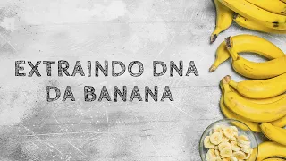 Experimentos de Biologia - GENÉTICA (EXTRAÇÃO DE DNA DE BANANA)