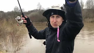 "Kimba tik KILOGRAMINIAI" - Pavasarinė upėtakių žvejyba Minijoje dropshoping metodu