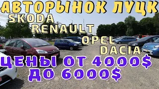 Авторынок Луцк - авто стоимостью от 4000$ до 6000$. Skoda, Renault, Dacia, Opel. Есть что "живое"?