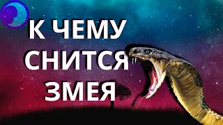 К чему снится змея? Приснилась змея 😴 Сонник 😴 Толкование снов 😴