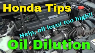 Honda Tips:  Oil Dilution