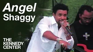 Shaggy - "Angel"  | LIVE at The Kennedy Center (2007)