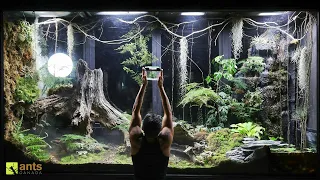 I Added a Grim Reaper Into My Giant Rainforest Vivarium | S1 Ep. 9