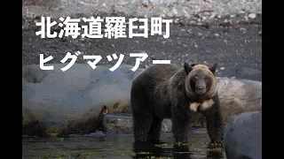 北海道羅臼町ヒグマツアー