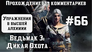 Ведьмак 3: Дикая Охота #66 ► Упражнения в высшей алхимии ► [#witcher3]