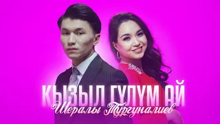 Шералы Тургуналиев -  Кызыл гүлүм ай / Жаңы клип 2024