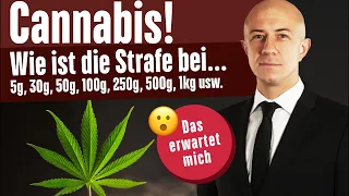 LIVE: Cannabis BtMG - Fragen und Antworten