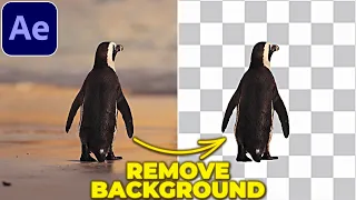 REMOVE BACKGROUND from VIDEO in After Effects | Rotobrush Tutorial
