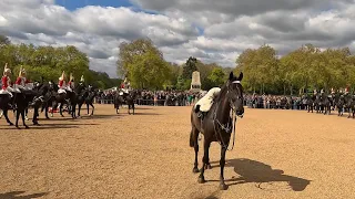 King's Guard HORSE COLLAPSE at Horse Guards Parade & Many Loose Horses in Central London