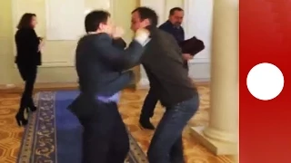 Ukraine parliament scrap: 2 MPs brutally fist fight over bill