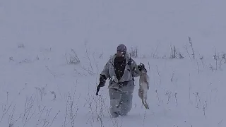 ОХОТА НА ЗАЙЦА И ЛИСУ. СЕЗОН- 2016. ФИЛЬМ- 3