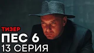 Сериал ПЕС 6 - 6 сезон - 13 серия - ТИЗЕР | СЕРИАЛЫ ICTV