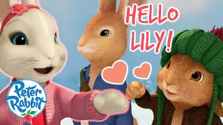 ​@OfficialPeterRabbit- When Peter & Benjamin First Met Lily 💛 | New Friendships | Cartoons for Kids