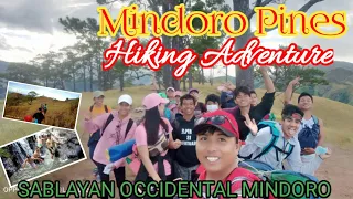 Mindoro Pines Hiking Adventure // Occidental Mindoro