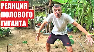 МАНЬЯК УЗНАЛ СЕБЯ В РОЛИКЕ ))) ПАТТАЙЯ !