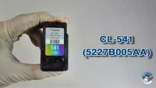How to Refill Canon CL-541 (5227B005AA) Colour Ink Cartridge