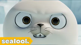 Why is Baby Seal Got Upset?😠 | SEALOOK | Episodes Compilation