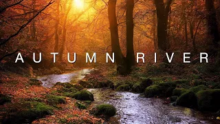 Autumn River - 3 hours of water flowing, lapping - relaxing fall nature ambience