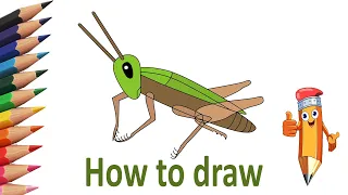 How to simply draw a grasshopper