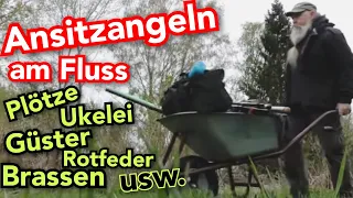 Kann man mehr als 5 Fischarten, innerhalb 4 Stunden, an einer Stelle fangen? - Ansitzangeln am Fluss