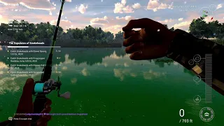 Fishing Planet- St. Patrick's day event, The expulsion of Snakeheads. Part 2