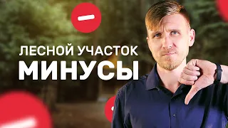 Главные Минусы Аренды Лесного Участка. Лесной участок: минусы, которые лучше знать.