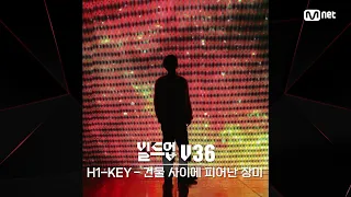 [#빌드업] 보이스 실루엣 V36 | H1-KEY - 건물 사이에 피어난 장미