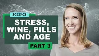 Stress, Wine, Pills And Age | Yale Professor Morgan Levine on How to Reverse Aging (part 3)