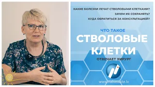 Стволовые клетки.