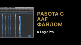 Работа с AAF файлом и создание дублевых папок [Logic Pro Help]