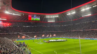 Bayern vs PSG - Champions League Anthem & FCB Tifo/Choreo Südkurve - 1/8 Champions League 2022/23