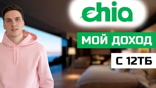 Сколько я зарабатываю на майнинге Chia с 12 ТБ на HDD в день