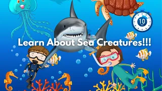 Learn About Sea Creatures