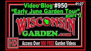 Early June Garden Tour part 3 - Wisconsin Garden Video Blog 950
