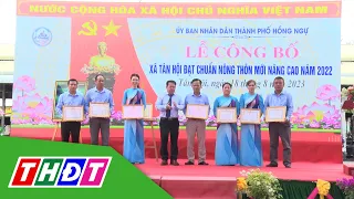 Xã Tân Hội (TP. Hồng Ngự) đón bằng công nhận đạt chuẩn Nông thôn mới nâng cao | THDT