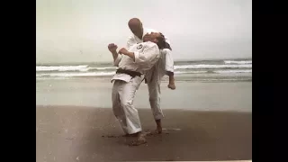Wado Ryu Karate Techniques
