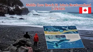 Middle Cove Beach | St. John's Newfoundland | Canada Beach