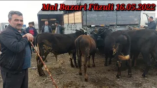 MAL BAZARİ FÜZULİ 16.05.2022 YENİ VİDEO #qulubeyleqanlı #malbazarifüzuli