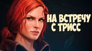 ОПЕРАЦИЯ ОПРИХОДОВАТЬ ТРИСС The Witcher 3 Wild Hunt (НГ+)