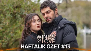 Winds of Love Weekly Summary #13 | Rüzgarlı Tepe Haftalık Kolaj #13