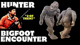 A HUNTER has a sighting with 2 BIGFOOT who talk to each other !