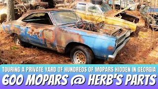 Nearly 600 Mopars Hidden in The Georgia Woods at Herb's Parts & AMS Obsolete