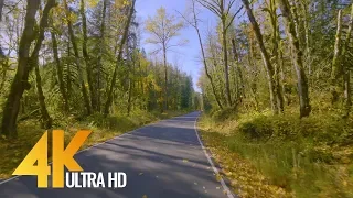 4K Scenic Drive with Floating Music - Snoqualmie, Washington State - 4min Trailer